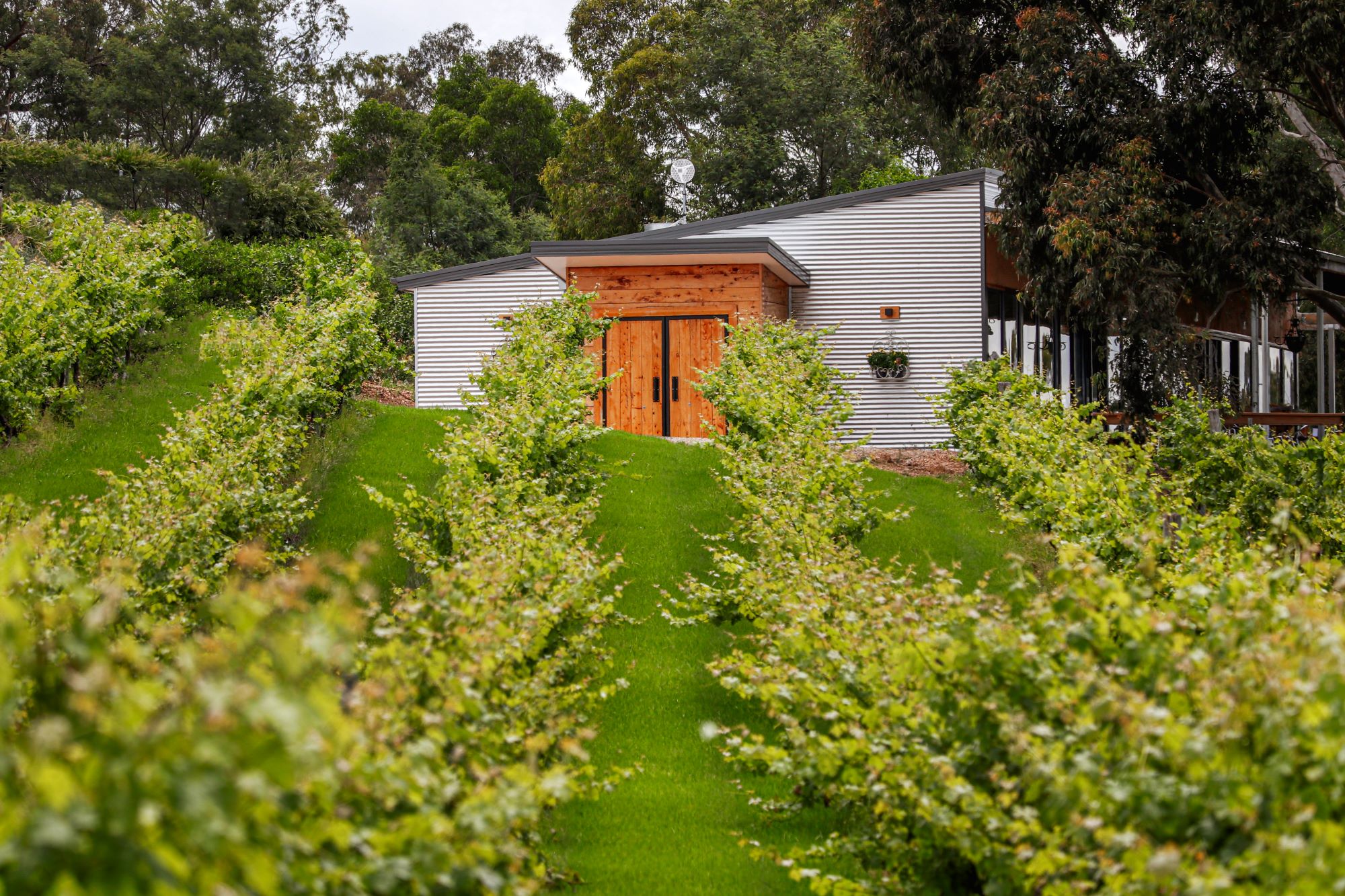 Glenmaggie Wines Cellar Door